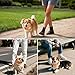 NAMSAN 2-in-1-Hundehalsband mit Rollleine Leine Verstellbares Hundehalsband Eingebaut Ausziehbar Hundeleine mit Griff für Kleine und Mittlere Hunderassen