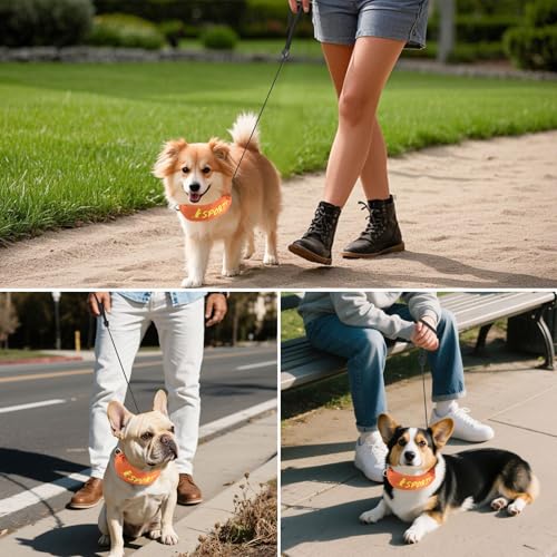 NAMSAN 2-in-1-Hundehalsband mit Rollleine Leine Verstellbares Hundehalsband Eingebaut Ausziehbar Hundeleine mit Griff für Kleine und Mittlere Hunderassen