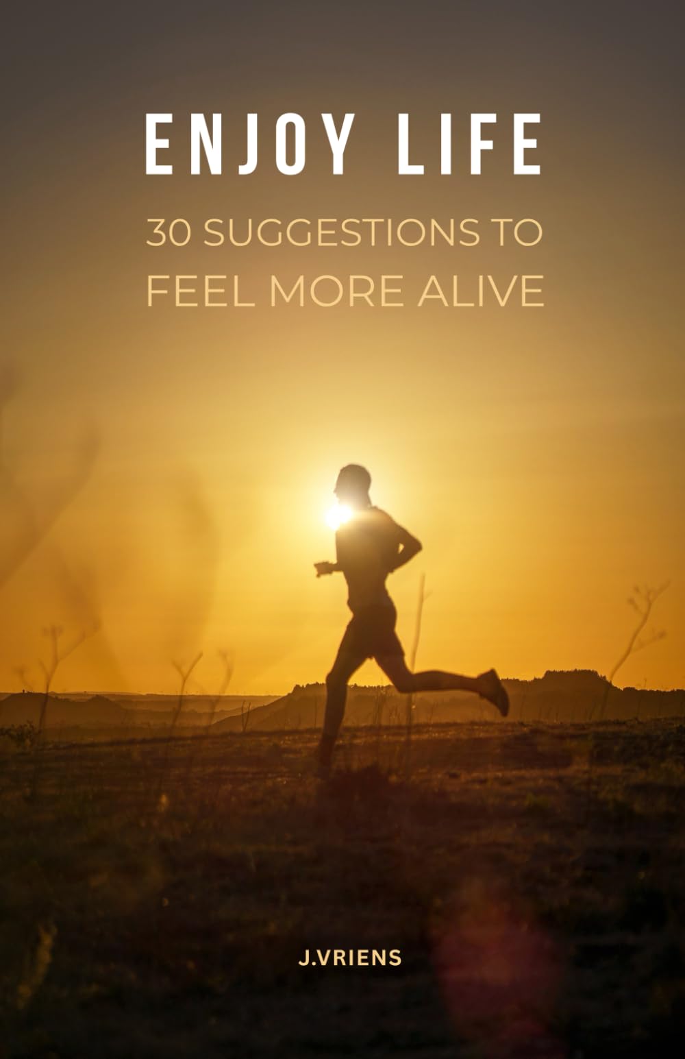 Enjoy Life: 30 Suggestions to feel more alive