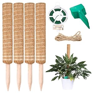 UNIDEAL 4 stuks 40 cm mosstaaf, plantenstaaf, rankstok Monstera, plantenstok Monstera, plantentijd klimhulp Monstera van kokosvezel, met 50 plantenborden voor plantennaam, tuinbinder x 20 m