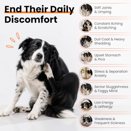 29 in 1 Dog Vitamins and Supplements 200 Ct Advanced Dog Multivitamin Chews - Image 3