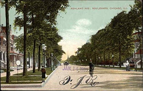 Ashland Ave. Boulevard Chicago, Illinois IL Original Antique Postcard 1909