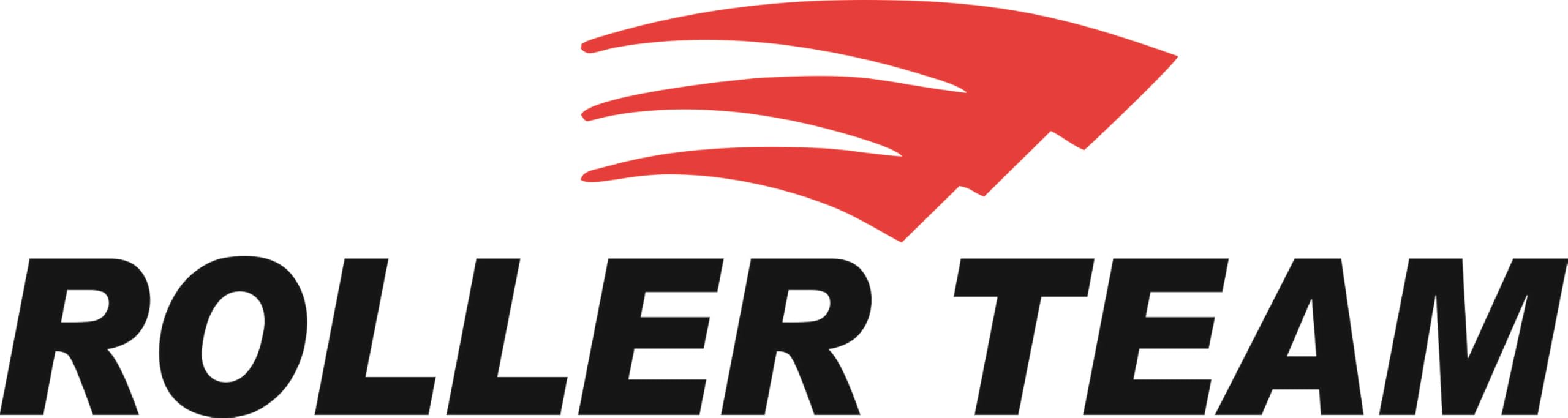 Roller Team Motor Home Decal Sticker Graphic Decal Black and Red 3 Sizes BB280