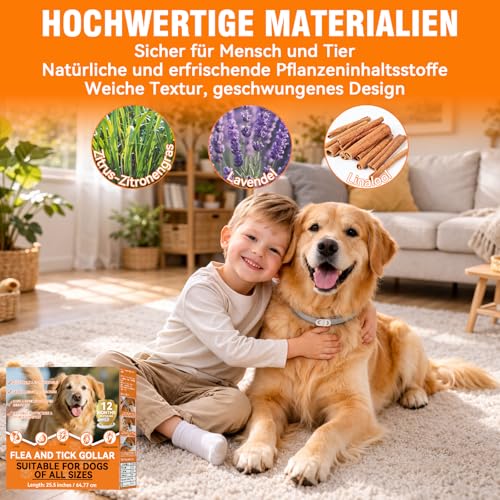 Flohhalsband Hunde (8 Monate Schutz) - Anti Floh- und Zeckenhalsband für Hunde, Wasserdicht & Verstellbar, 65cm Länge für Kleine, Mittlere und Große Hunde