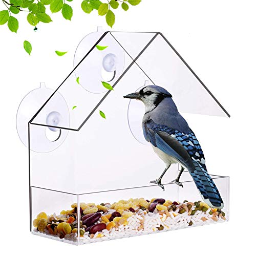 Bird Feeder Bird Feeder Hanging Bird Feeder Window Suction Clear Bird Feeder Wild Bird Feeders Bird Feeding Parrot Feeder