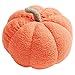 chiwanji Belle Citrouille Oreiller Peluche Compagnon Compagnon câlin décor PP Coton Dormir Peluche poupée joufflu Dormir Oreiller pour Enfants Halloween Bureau - Orange