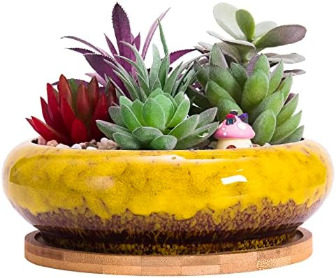 Pot De Fleur Céramique Peu Profond 15 Cm - Avec Trou De Drainage & Plateau Bambou - Pour Succulentes, Cactus, Plantes D'Intérieur