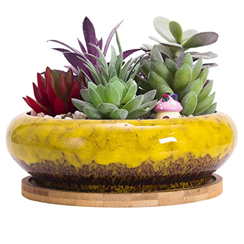 ARTKETTY Succulent Pots - 7.3 Inch Large Succulent Planters with Drainage Ceramic Bonsai Pots with Bamboo Tray, Shallow Planters for Indoor Cactus Plants Decorative Flower Plant Container