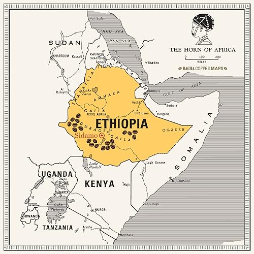 Bacha Coffee | Yirgacheffe Heirloom Single Origin, Whole Beans, Medium Roast, 100% Arabica Specialty Coffee, 250g Signature Nomad Collection, Gift Box