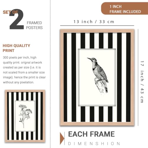 Image of YANVEER Set of 2 Minimalist Black & White Framed Wall Painting for Living Room | Modern Botanical & Bird Illustration Wall Art | Aesthetic Striped Wall Decor Frames for Bedroom, Office & Hall (13x inches)