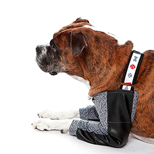 Protector de higroma Dry Confort T6 codera para perros grandes Petmed 2