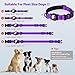 Taglory Reflective AirTag Dog Collar with Airtag Holder, Dual D-Rings, Safety Locking Buckle Durable, Adjustable Soft Padded for Medium Dogs, Purple, M