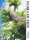  Flora Fiction Literary Magazine Spring 2020: Volume 1 Issue 1