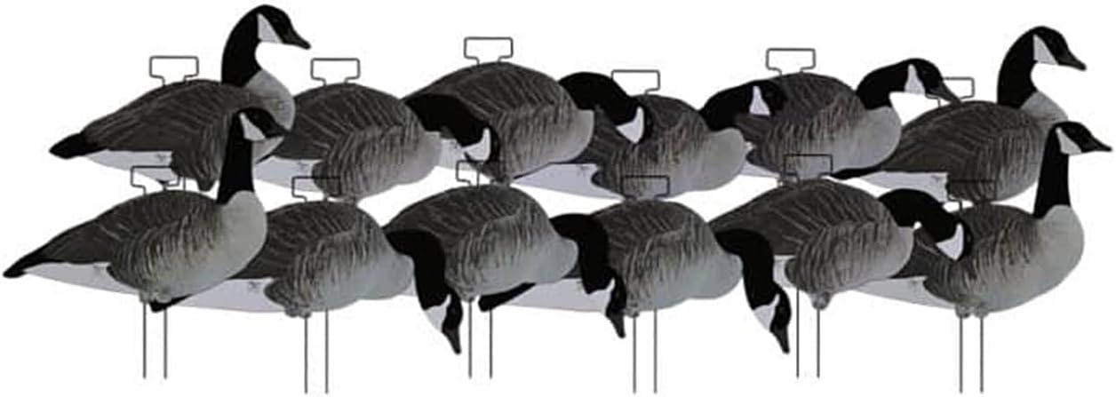 DAKOTA DECOY X-Treme Fully Flocked Canada Silhouettes, Decoy 12 Pack