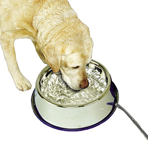 heated outdoor water bowl