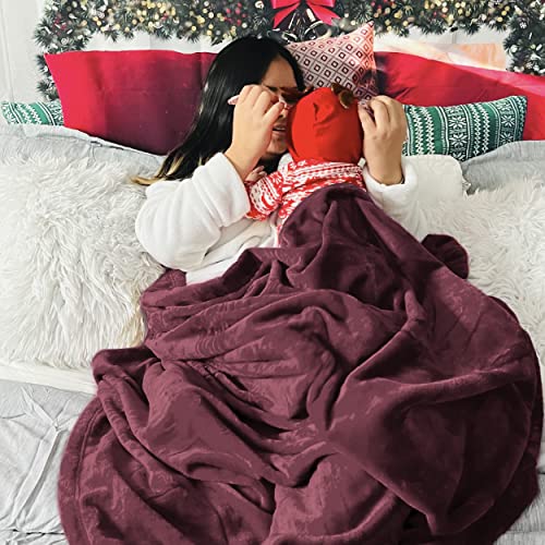Image of Bedsure GentleSoft Fleece Blankets Queen Size Red - Bed Blanket Soft Lightweight Plush Fuzzy Cozy Luxury Microfiber, 90x90 inches