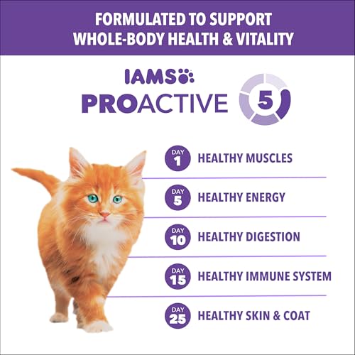 Image of IAMS Proactive Health Healthy Kitten Dry Cat Food Salmon Recipe, 7 lb. Bag