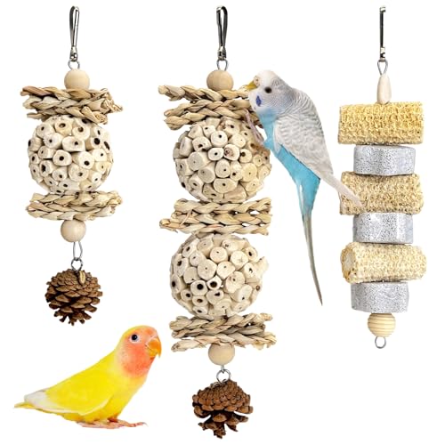 kathson 3 Pack Bird Chew Toys Parrot Natural Sola Ball Chewing Toys Parakeet Foraging Hanging Toys Bird Beak Grinding Stone Lava Blocks for Cockatiel Conures Lovebirds Budgie