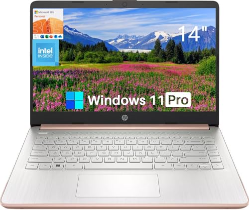 HP 14" Ultral Light Laptops for Business, Intel Celeron N4120, 8GB RAM, 384GB Storage(128GB eMMC+256GB Micro SD), One Year Offic