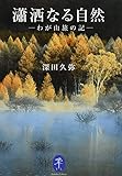 ヤマケイ文庫 瀟洒なる自然 わが山旅の記