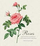  Roses: Mini Archive