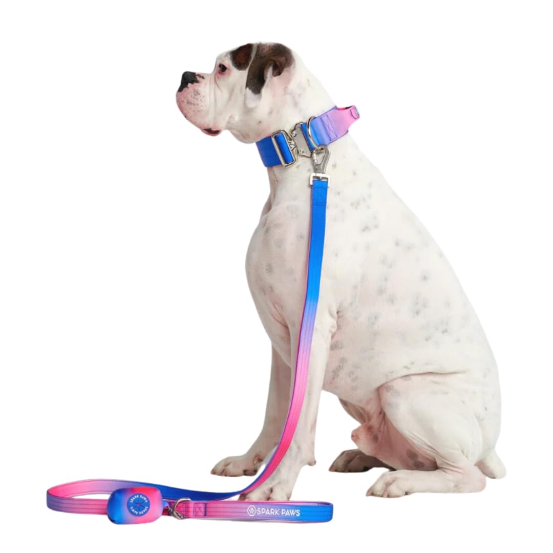 Spark Paws Ensemble laisse et sac à déjections canines de qualité supérieure – Crochet en alliage robuste pour les races puissantes – Confortable, durable et sécurisé – Cône de neige