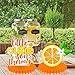 9pcs Little Cutie Baby Shower Decoration Little Cutie Table Honeycomb Centerpiece Orange Theme Table Decoration for Orange Fruit Birthday Party Supplies