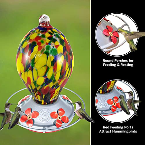 Grateful Gnome - Hummingbird Feeder - Hand Blown Glass - Speckled Egg 28 Fluid Ounces Free Bonus Accessories S-Hook, Ant Moat, Brush And Hemp Rope Included #TOP1