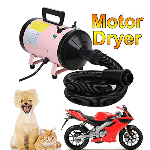 Secador para coche y motocicleta, secador y plumero, secador de moto, pistola de bajo ruido 2800 W de secado rápido, secador de alta potencia, calentador profesional para perros y gatos, 3 boquillas