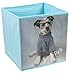 Puppy Wearing Glasses "Dogs Rule" Blue Collapsible Storage Box and Closet Organizer