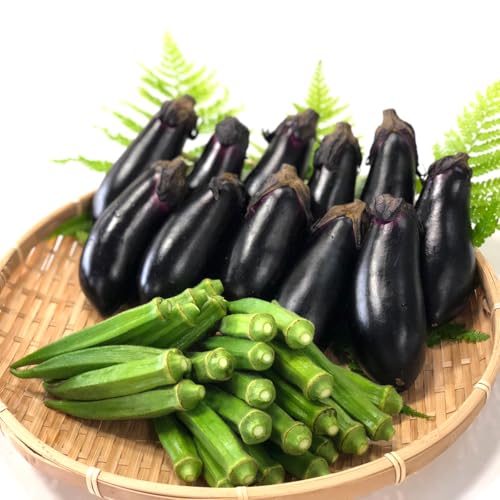 [先行予約]夏野菜 詰め合わせ お試し セット なす おくら 野菜 茄子 ナス オクラ 産地直送 天敵栽培[2026年7月以降順次発送]