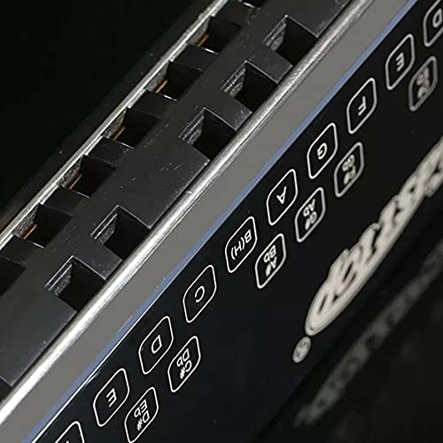 Harmonica Bass harmonica 25 trous jouer de la harpe basse instrument de bouche orgue instrument professionnel Bass… - Les Beatles, Paul McCartney, John Lennon, RIngo Starr, George Harrison Harmonica Bass harmonica 25 trous jouer de la harpe basse instrument de bouche orgue instrument professionnel Bass… – Image 6