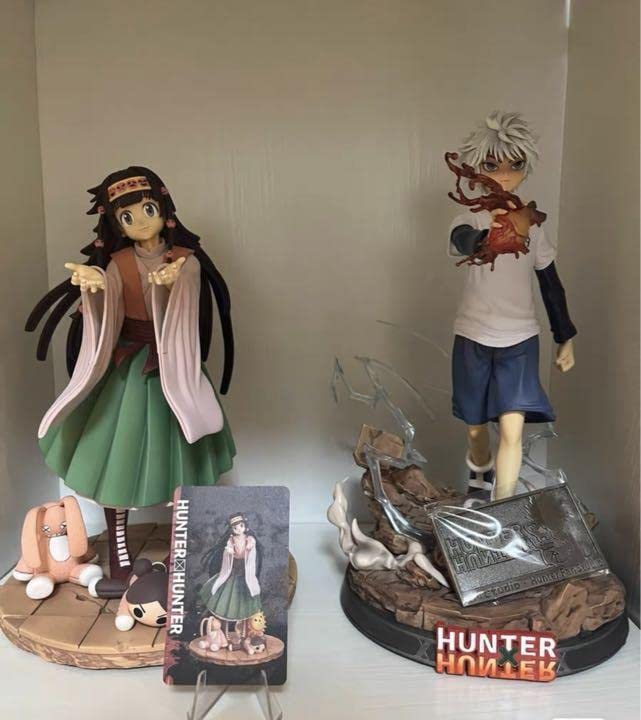 Amazon.co.jp: hunter×hunter ハンター×ハンター アルカ?ゾルディック