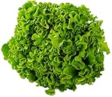 Photo Gallery cortilia, insalata gentile bio, 400 g