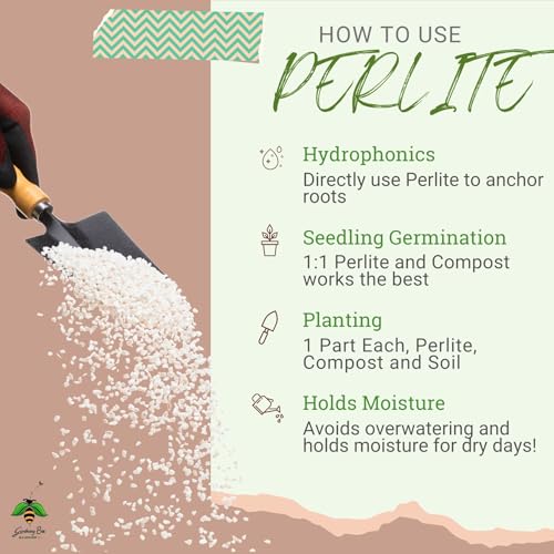 Image of Perlite for Plants (1KG), Hydroponics & Horticulture Terrace Gardening, Essential Soil Conditioner, for Indoor, Outdoor Plants (1 Kilogram)