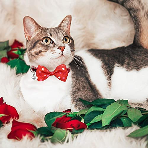 Pohshido Valentine's Cat Collar with Bow Tie and Bell, Holiday Breakaway Loving Heart Kitty Kitten Collar for Girls and… - Image 6