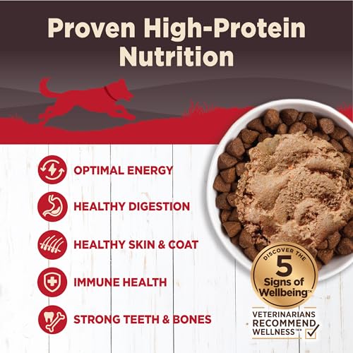 Wellness Natural Pet Food CORE Natural Wet Grain Free Canned Dog Food, Beef, Venison & Lamb, 12.5-Ounce Can (Pack of 12) - Image 4