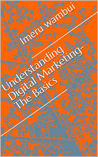 Understanding Digital Marketing- The Basics (English Edition)