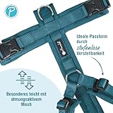 Petlando Hundegeschirr Mesh Y-Comfort – weich gepolstert, stufenlos verstellbar, besonders leicht und atmungsaktiv, fellschonend, ergonomisch – L, Petrol