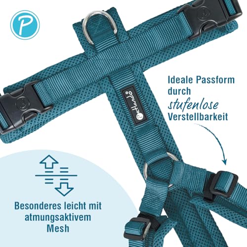 Petlando Hundegeschirr Mesh Y-Comfort – weich gepolstert, stufenlos verstellbar, besonders leicht und atmungsaktiv, fellschonend, ergonomisch – L, Petrol