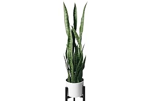 flybold Artificial Snake Plant Tall