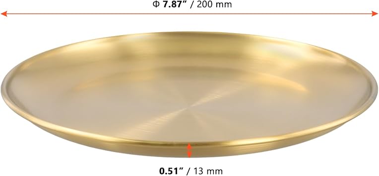 SINJEUN 10 Pieces 20 cm Stainless Steel Dinner Plates, Round Serving Plates Gold Brushed Metal Dishes for Camping, Eating, BBQ, Steak, Salad