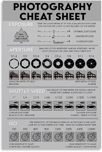 Photography Quick Reference Guide Poster Canvas Wall-Art for Beginners Bedroom Living Room Decor Camera Basics Learning(Framed,1