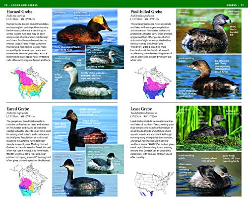 National Wildlife Federation Field Guide to Birds of North America - Image 2
