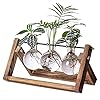 Kingbuy Plant Propagation Stations Terrarium Glass Desktop Planter with Retro Wooden Stand 3 Bulb Vases for Hydroponics Indoor Office Desk Home Decor, Plant Holder Lover Gifts for Women