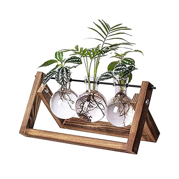 Kingbuy Plant Propagation Stations Terrarium Glass Desktop Planter with Retro Wooden Stand 3 Bulb Vases for Hydroponics Indoor Office Desk Home Decor, Plant Holder Lover Gifts for Women