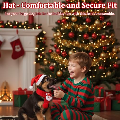 Set de sombrero y bufanda de Santa para perro grande miniatura 6