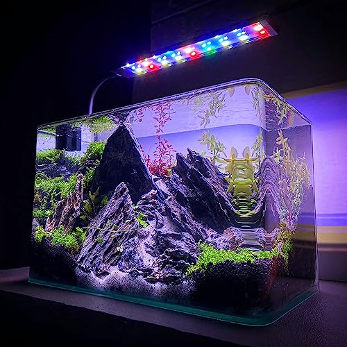 Image of 18-20 Inches Natural Seiryu Stone 1 PCS Ultra Large Aquarium Rocks for Aquascaping, Aquarium Landscaping, Terrariums, Fish Tank Decoration, Vivariums, Paludarium, Amphibian Enclosures