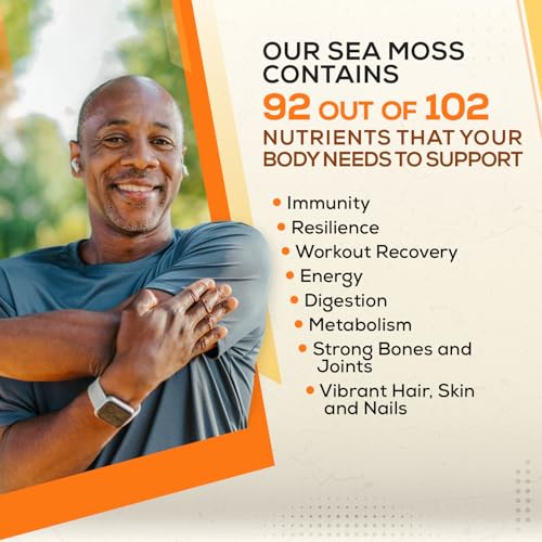 Gold Sea Moss Raw Organic| Makes 160oz of Gel - 100% Wild Crafted| Non-GMO Sun-Dried Mineral Rich Super Food for Energy| Booster Healthy, Immunity Digestion (8oz)