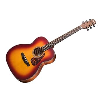 Amazon.co.jp: Morris モーリス Perfomers Edition F-021 RBS